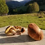 Feriehus W Gorach Sowich