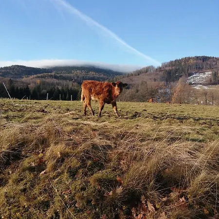 Feriehus W Gorach Sowich *
