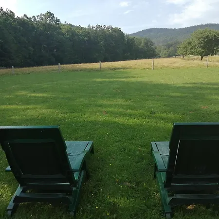 Σπίτι διακοπών W Gorach Sowich *