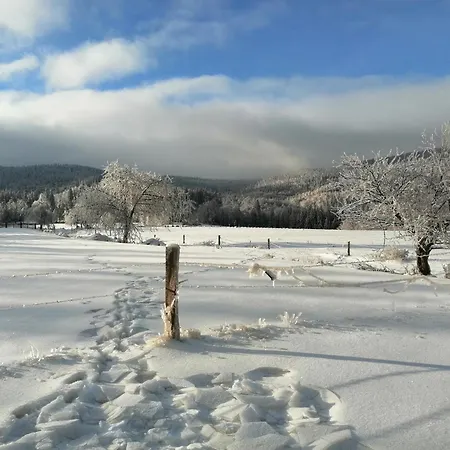 W Gorach Sowich Σπίτι διακοπών