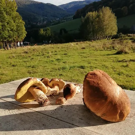 Feriehus W Gorach Sowich