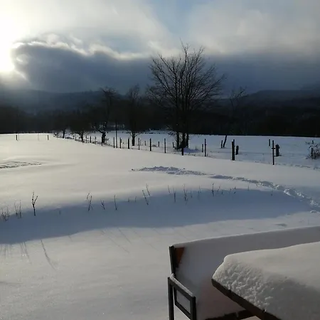 W Gorach Sowich Σπίτι διακοπών *