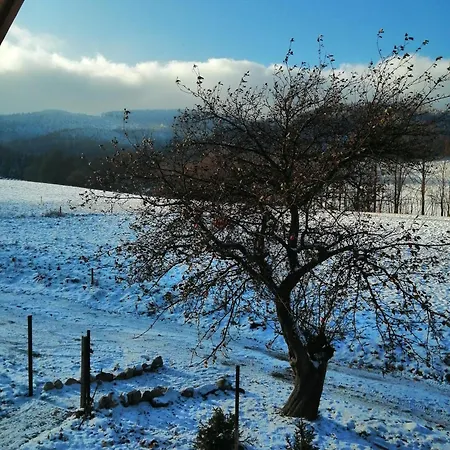 W Gorach Sowich Σπίτι διακοπών