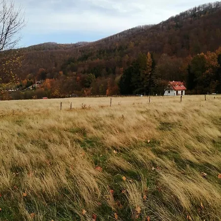 W Górach Sowich *