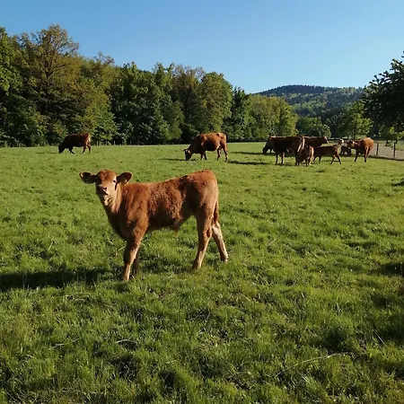 W Gorach Sowich Σπίτι διακοπών