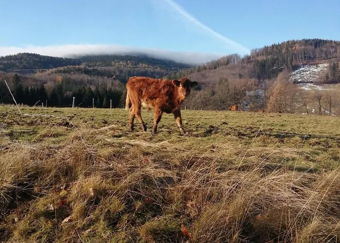 Feriehus W Gorach Sowich *