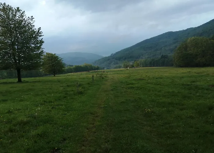 W Gorach Sowich Feriehus Pieszyce