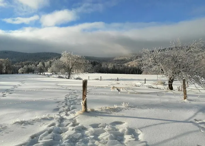 W Gorach Sowich Feriehus