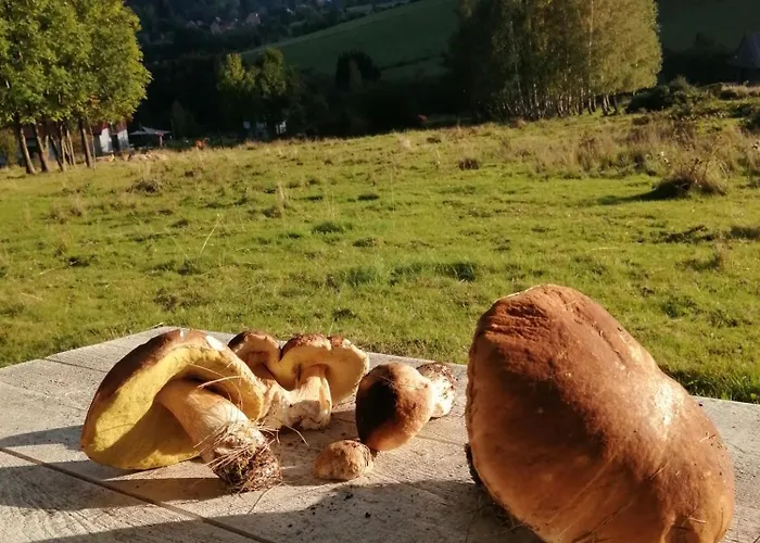 Feriehus W Gorach Sowich