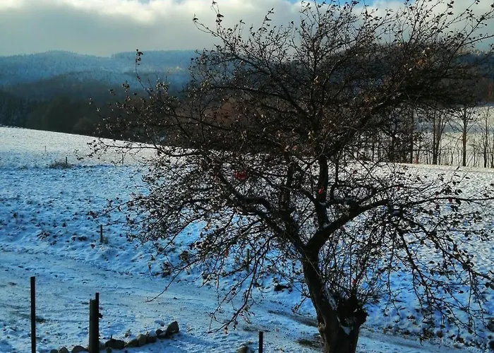 W Gorach Sowich Feriehus