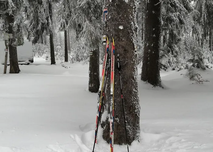 W Gorach Sowich Feriehus